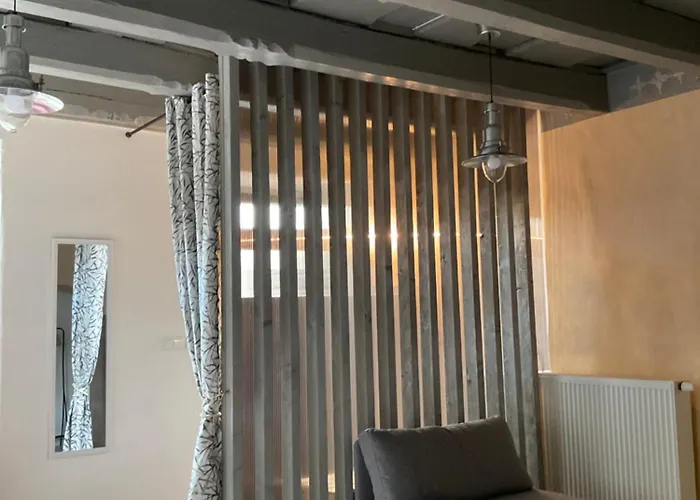 Historic Center 아파트 *